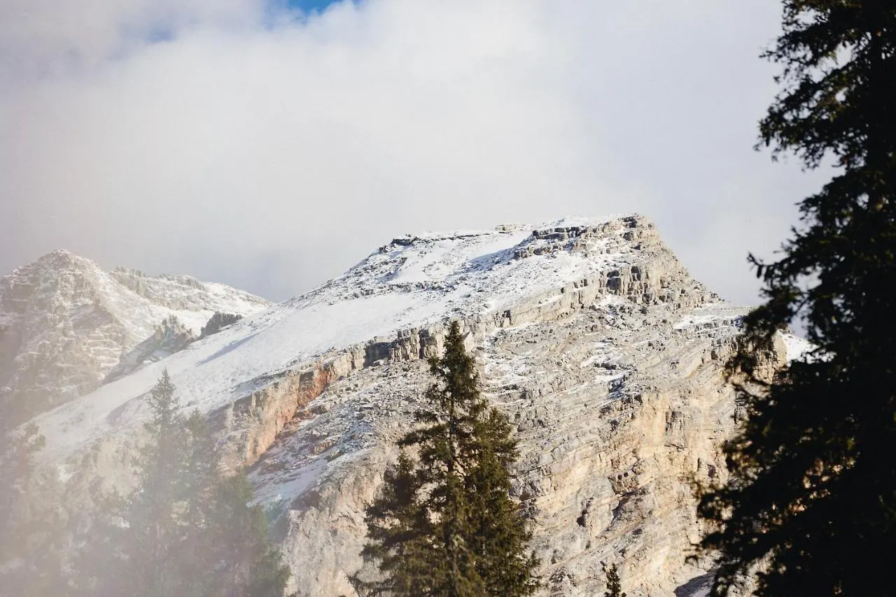 Rifugio Malga Ra Stua Villa Cortina dʼAmpezzo Gerendaház