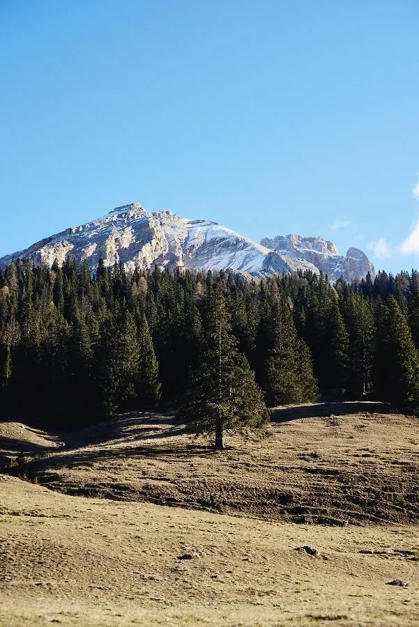 Villa Rifugio Malga Ra Stua à Cortina dʼAmpezzo 0*,  Italie