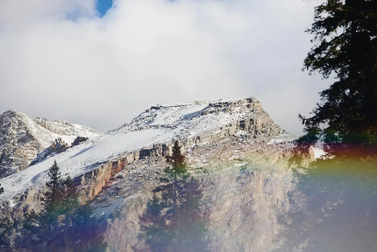 Lodge Rifugio Malga Ra Stua Villa Cortina d'Ampezzo Italië